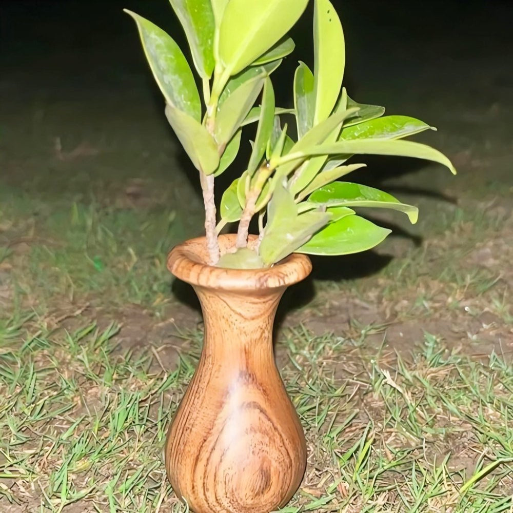 Handcrafted Acacia Wood Bud Vase - Mini Decor Vase