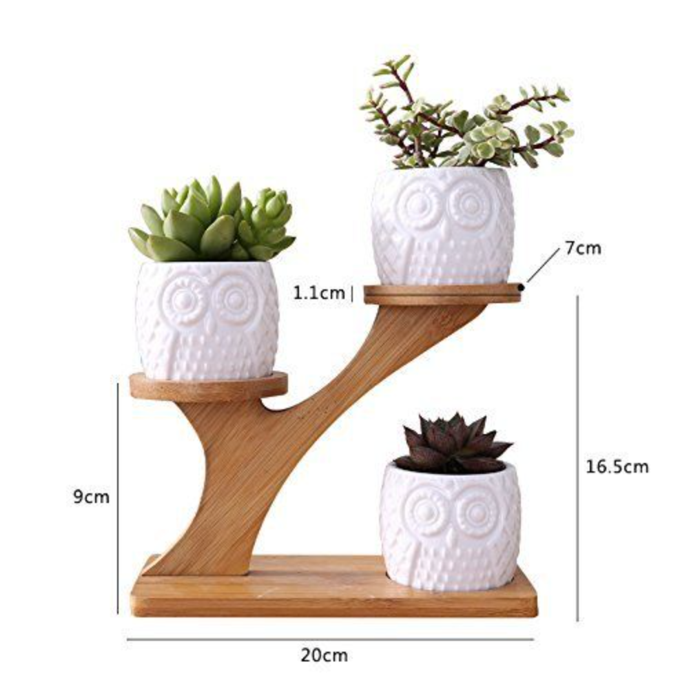 Modern Wooden Plant Stand for 3 Ceramic Pots – Tiered Succulent Display Holder