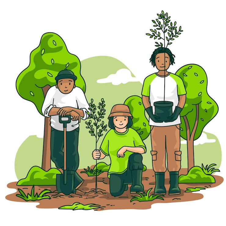 How Tree Plantation Can Fight Global Warming – And How Wood Sajawat is Making a Difference