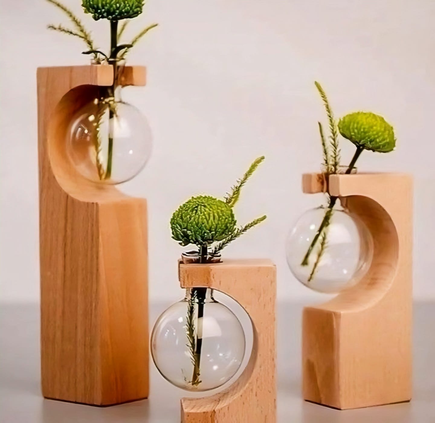 Modern Wooden Propagation Station with Glass Bulb