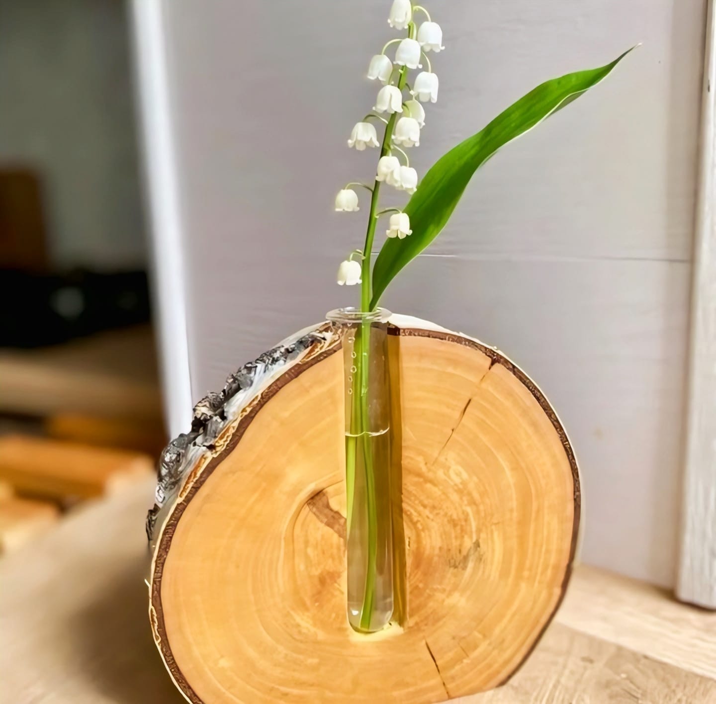 Tree Ring Log Slice Bud Vase with Glass Tube