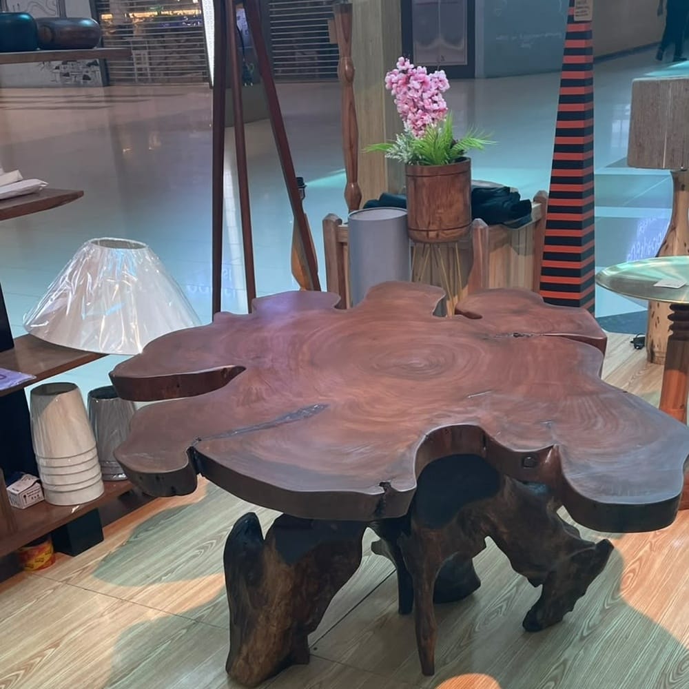 Natural Live Edge Root Coffee Table - Solid Wood Slab Table