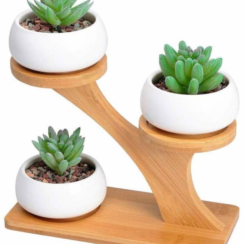 Modern Wooden Plant Stand for 3 Ceramic Pots – Tiered Succulent Display Holder